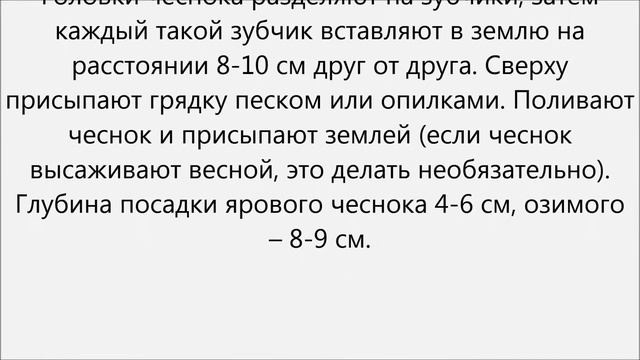 Как вырастить чеснок смотреть онлайн