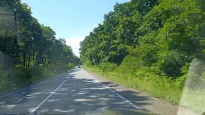 Дорога в бухту «Витязь».