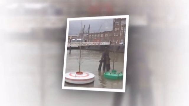 ПЛАВАЮЩИЕ ДЕРЕВЬЯ В РОТТЕРДАМЕ / FLOATING TREES In Rotterdam