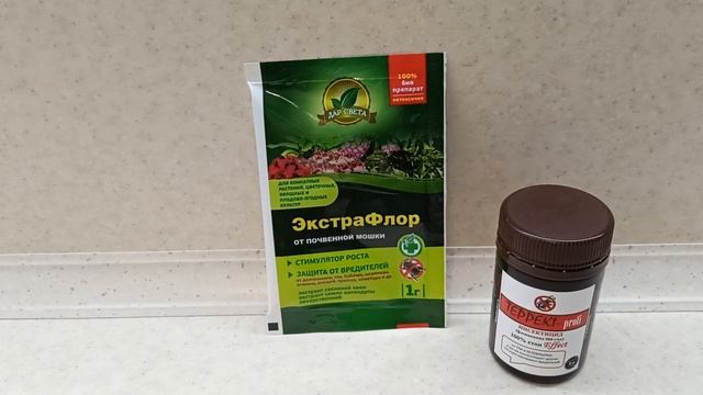 Самые эффективные препараты от почвенной мошки и белокрылки.31.01.2022г смотреть онлайн