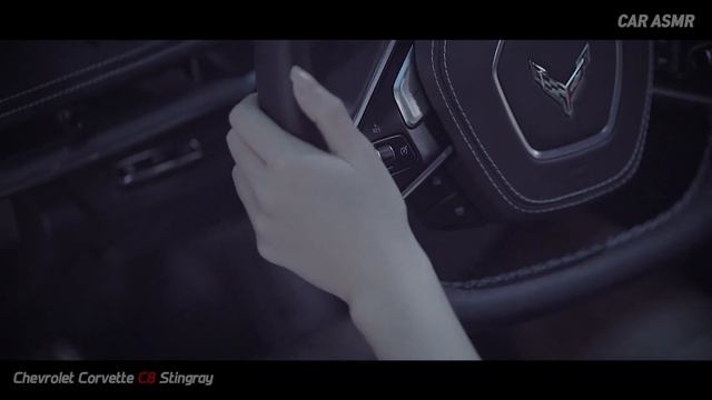 [CAR ASMR] Chevrolet Corvette C8 Stingray l Real Car Sound смотреть онлайн
