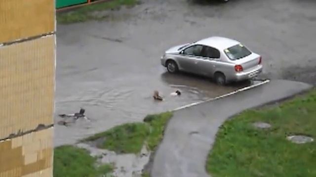 Не нужен нам берег турецкий и Африка нам не нужна. Кемерово 09.06.2015. смотреть онлайн
