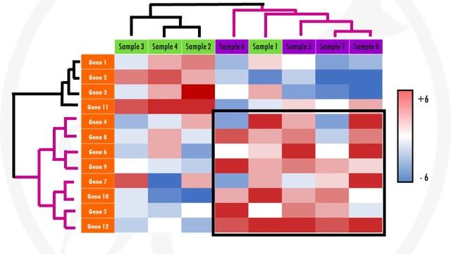 How to interpret a heatmap for differential gene expression analysis - simply explained! смотреть онлайн