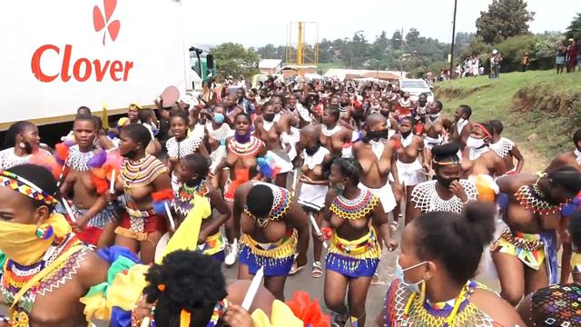 ZULU MAIDENS (ZIPHELEZELE ISILO SAMABANDLA) KING GOODWILL ZWELITHINI KABHEKUZULU
