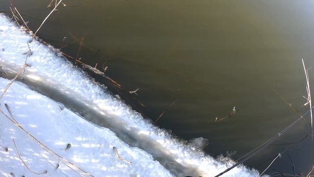 Мартовская щука ! Рыбалка на реке ишим !