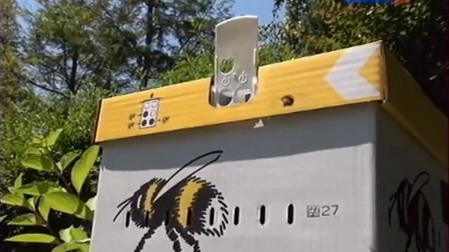 Животные Смешно Шутят