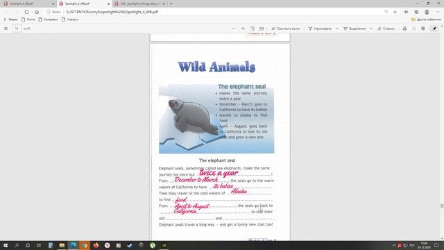 SPOTLIGHT 4 STUDENTS BOOK стр. 63// WORKBOOK стр.33,89.///Английский в фокусе 4 класс