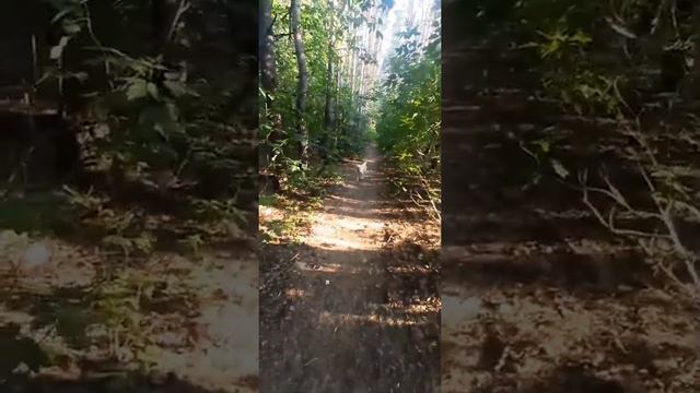 эрик с собакой смотреть онлайн