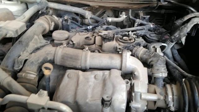 ford ecosport 1.5 TDCI DURATEC ingine cold start .ford ingine смотреть онлайн