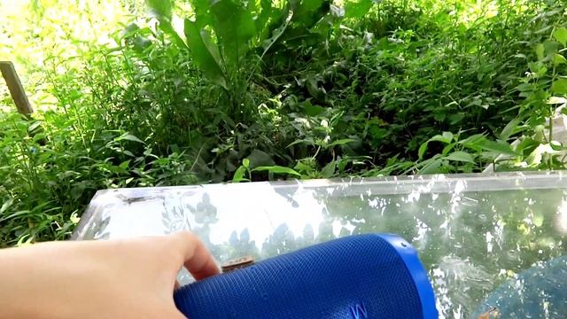 утопил легенду что с ней стало, проверка на воду! ? смотреть онлайн