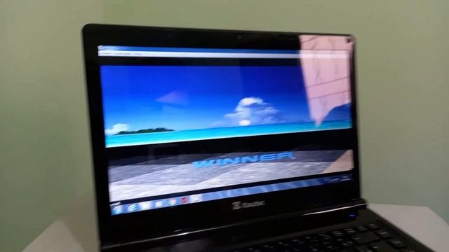 O QUE RODA NO MEU NET DEAD OR ALIVE смотреть онлайн