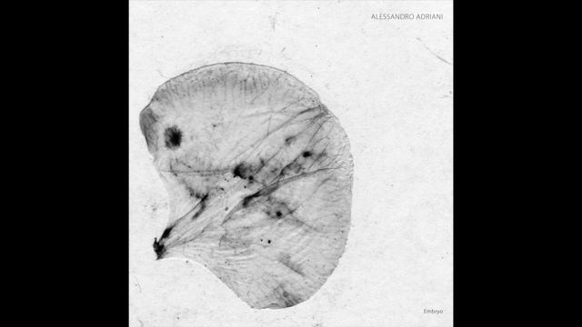 Alessandro Adriani - Symmetry [SA035] смотреть онлайн