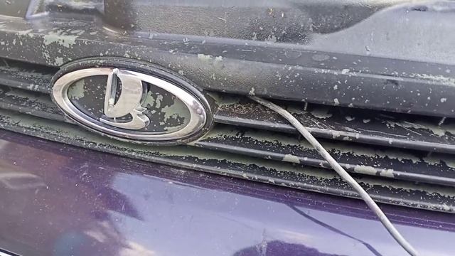 Мастерство в Деле