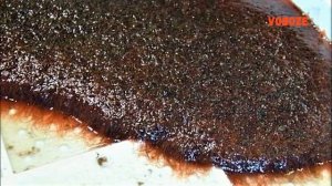 Трубочник. Живой корм для аквариумных рыбок. Добыча и хранение.