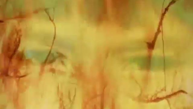 enigma the eyes of truth.mp4