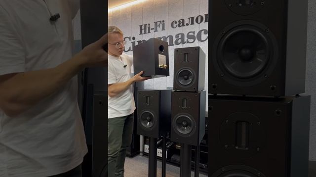 Так в чем же разница? Полочники Aurum Cantus 610 и Aurum Cantus Leisure 2SV mkII ? #колонки #хайфай смотреть онлайн