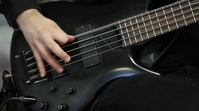 Nolly.cz - Můj názor (bass cover) смотреть онлайн