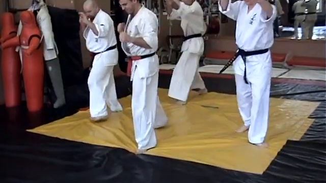 Кихон. Какуто Джиу-джитсу Дайдо-рю смотреть онлайн