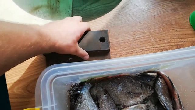 Засолка рыбы и икры в домашних условиях