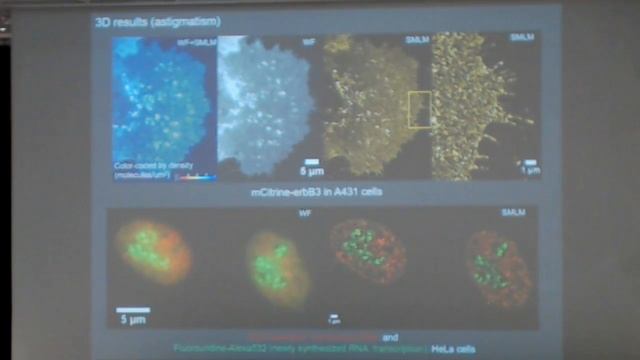 LIVE SESSION on the challenge for benchmarking SMLM software смотреть онлайн