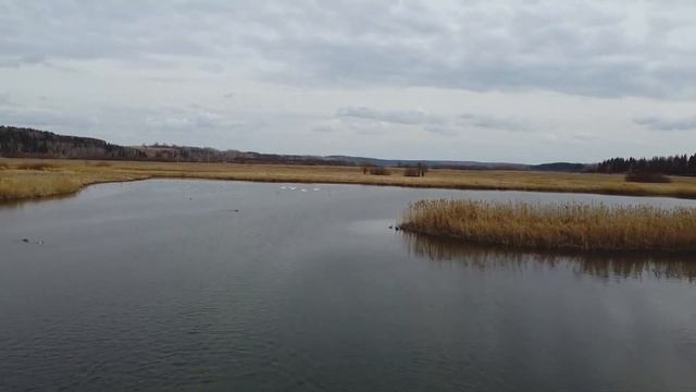 Лебеди. Пермский край. Кунгурский район смотреть онлайн