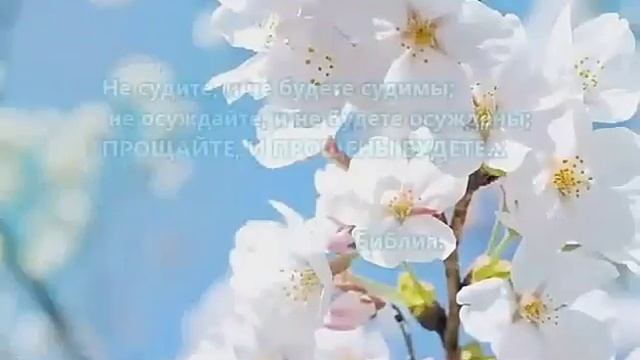 5 марта 2017 г. смотреть онлайн