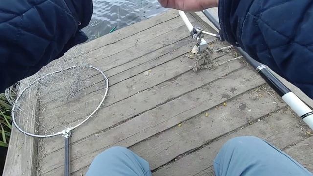Рыбалка пруд пеньки Ставропольский Край 11.05.22 года смотреть онлайн