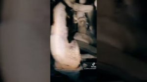 Снятие рейки с Subaru tribeca.