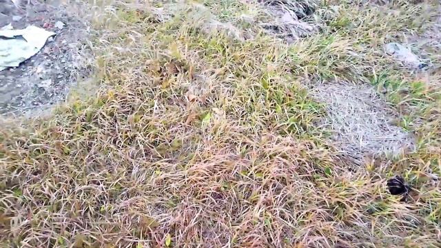 Как настроить металлоискатель тх 850