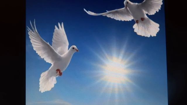 Слава Богу за все сл.Протоирей Василий Мазур муз. Александр Богданов