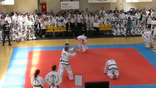 Выступление тренеров Воронежской федерации тхэквондо ИТФ смотреть онлайн