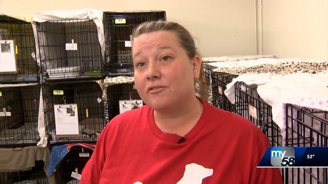 KCRA Paradise Cat Rescue - The Camp Fire смотреть онлайн