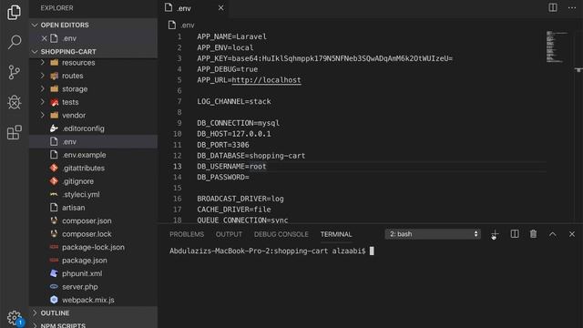 Shopping Cart using Laravel 6 and Stripe Payment (Project Setup) - Part 2 смотреть онлайн