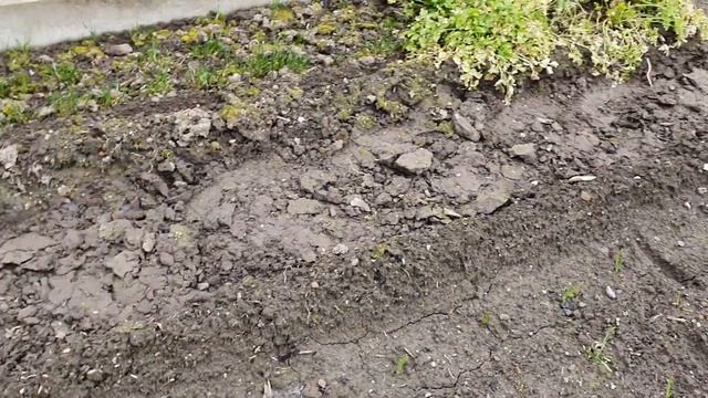 Весь день в спешке// Работы на даче// О заборе//Жизнь в Германии смотреть онлайн