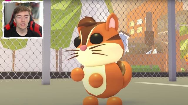 Adopt Me WHAT IS THAT THING Update! New Pets Storm Countdown