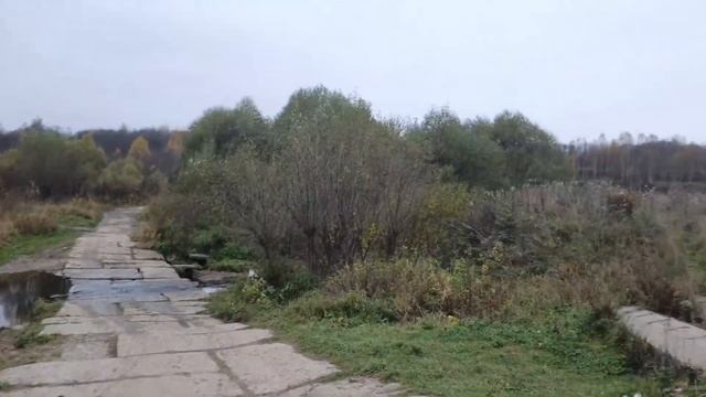 Экологическая катастрофа на реке Волга. смотреть онлайн