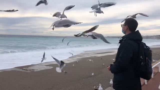 31 December 2020 смотреть онлайн