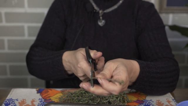 Как вырастить чабрец дома ☘ Тимьян в горшке смотреть онлайн