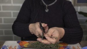 Как вырастить чабрец дома ☘ Тимьян в горшке