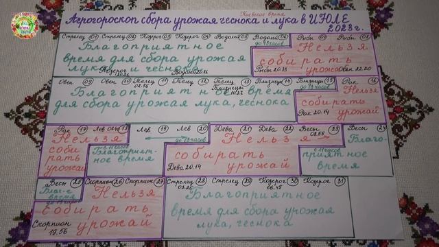 Агрогороскоп сбора урожая озимых лука и чеснока в июле 2023 года смотреть онлайн