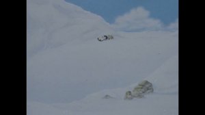 @evgeniiivanov7300  Лоло и Пепе 2 для Матвея