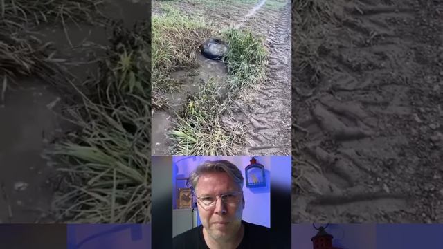 Дело труба смотреть онлайн
