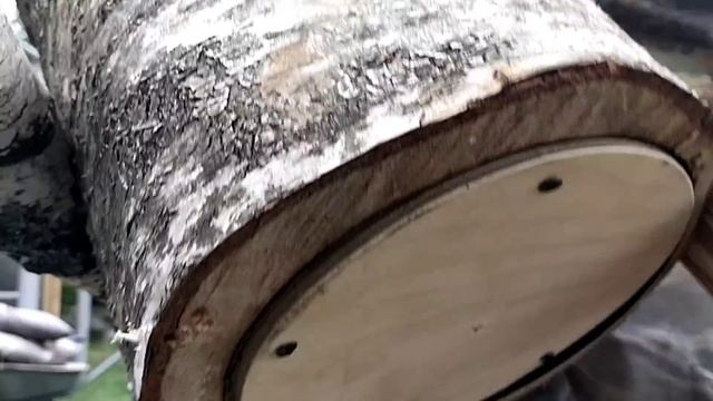 Лучшая встреча?? Оформляем изнутри домик для БЕЛОЧЕК?️?️?️ смотреть онлайн