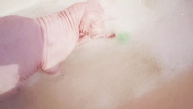 Бес быстро пачкается/Свалил горшок/Играет в ванне смотреть онлайн