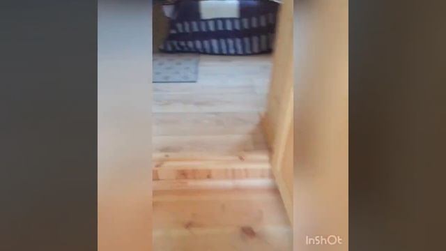 Обзор на дачу брата (двоюродный) смотреть онлайн