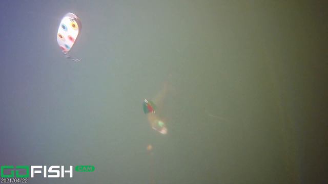 GoFishCam Underwater Camera Review смотреть онлайн