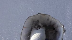 Обшивка стен профнастилом. Фасад из профлиста. Каркасная котельная | Бытовка | Сарай