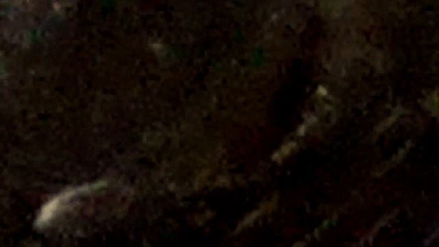 Yellowstone Supervolcano Eruption? April 19, 2021 Mysterious Goo Found смотреть онлайн