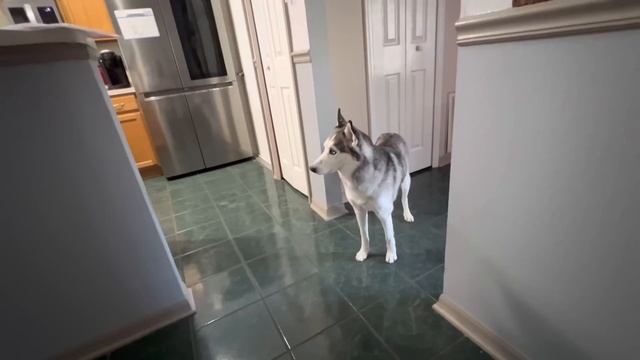 ГДЕ БЕСПЛАТНЫЕ ЛЕКАРСТВА И БОЛЬНИЧНЫЙ??СЕЙЧАС ВСЕ ОБЪЯСНЮ смотреть онлайн