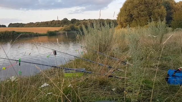 ТРОФЕЙНОЙ РЫБАЛКИ, ЛОВЛЯ КАРПА , КАРАСЯ И КРАСИВАЯ ПРИРОДА 2 часть смотреть онлайн